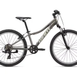 Giant Giant XTC Jr 24 2