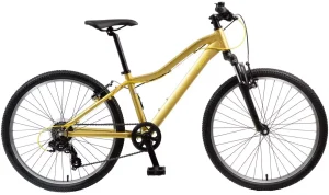 DBS Intruder Z3 33 Gold 24″