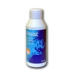 Assist Sport  SPORTSBALSAM M/KAMFER 2