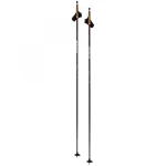 Swix  Dynamic D1 Pole 2